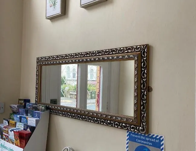 The Mountview 게스트하우스