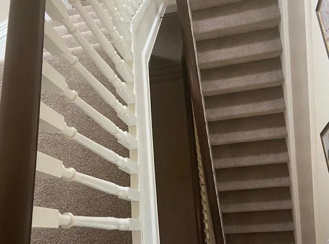 The Mountview 게스트하우스 3*